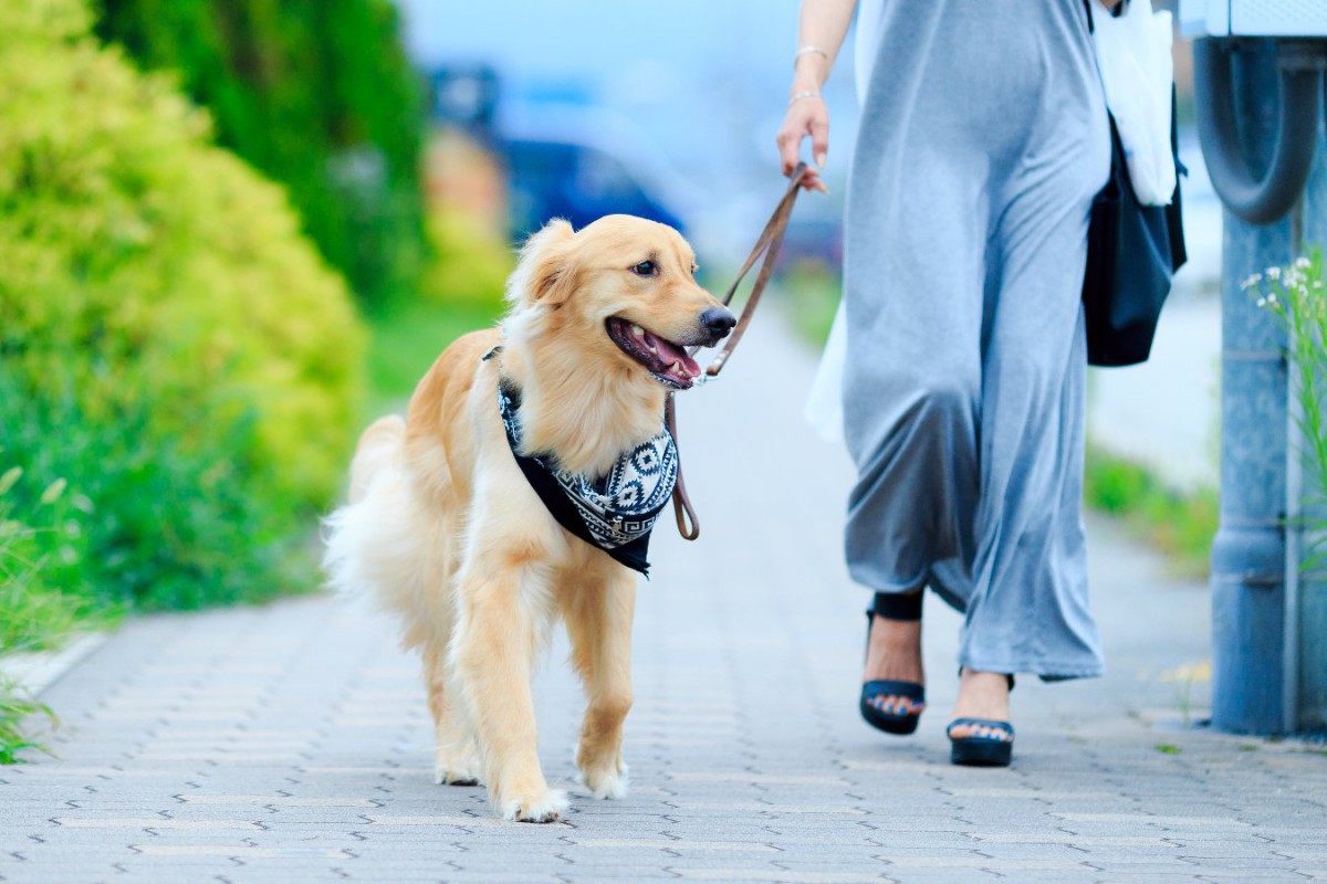 犬の散歩ですべきではない『NGな服装』5選！実は愛犬を危険に晒していることも