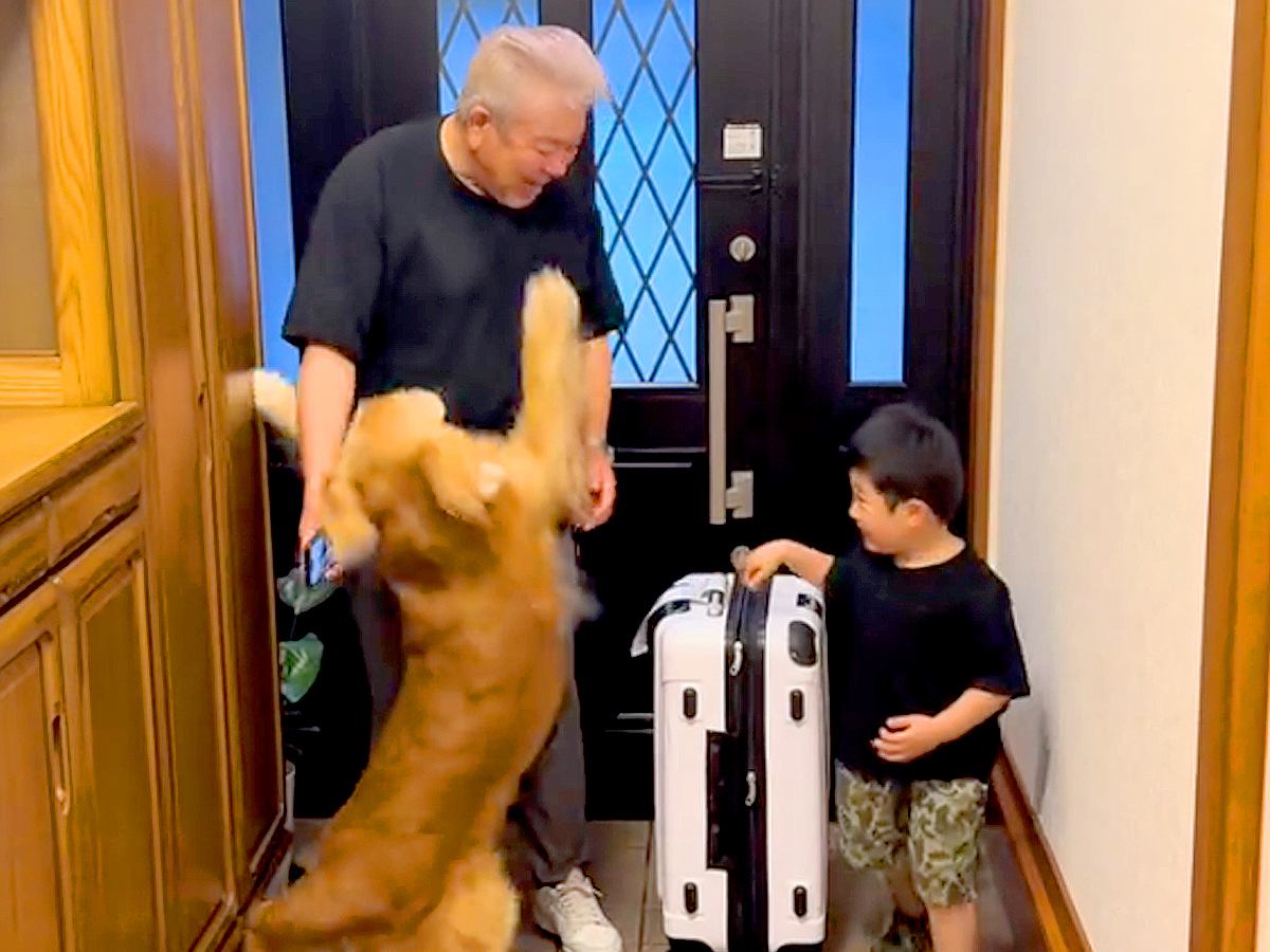 ２日ぶりに帰ってきた父→玄関で『男の子と大型犬』がお出迎えしてくれて…離れたくなくなる『愛おしい歓迎』に反響「最高の癒し」「大喜び」