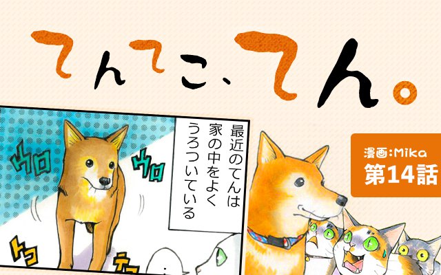 てんてこ、てん。【第14話】「無神経なんです」