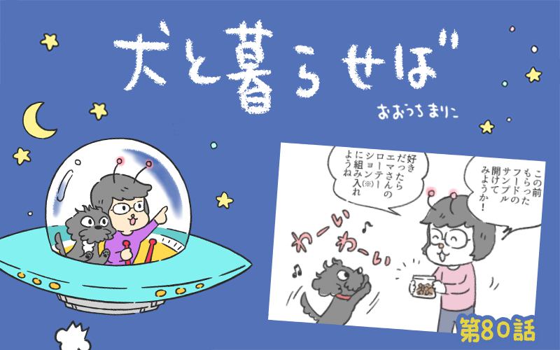 犬と暮らせば【第80話】「魔法使いエマさん」