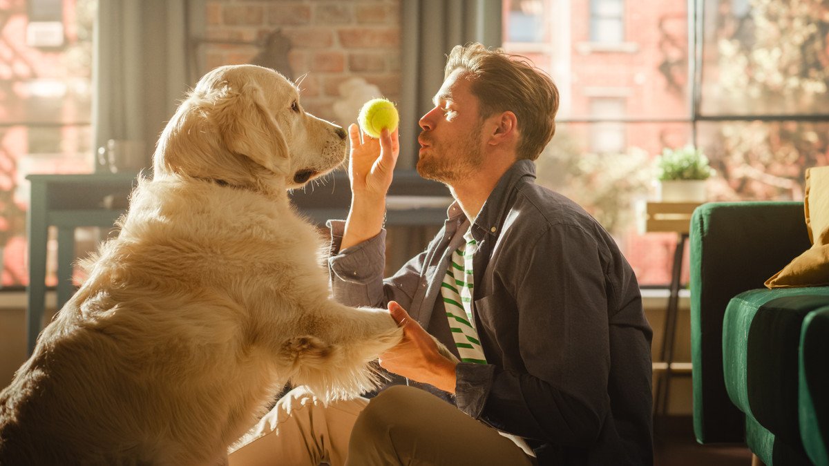 犬のしつけに使うコマンドは英語がいいの？キュー（合図）だともっと素敵かもしれない