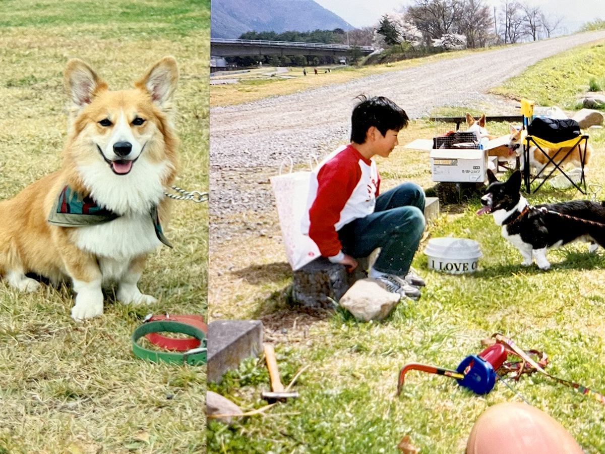 写真に写った男の子と犬→約30年後…思わず感動してしまう『現在の光景』に14万いいねの反響「下僕レベル向上してるｗ」「素敵」と絶賛