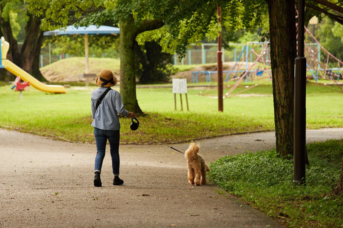 犬の『リード』伸縮タイプはよくないの？主なデメリットや危険を回避するために知っておくべきことまで