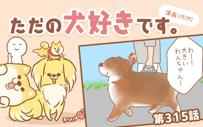 ただの犬好きです。【第315話】「気になって気になって」