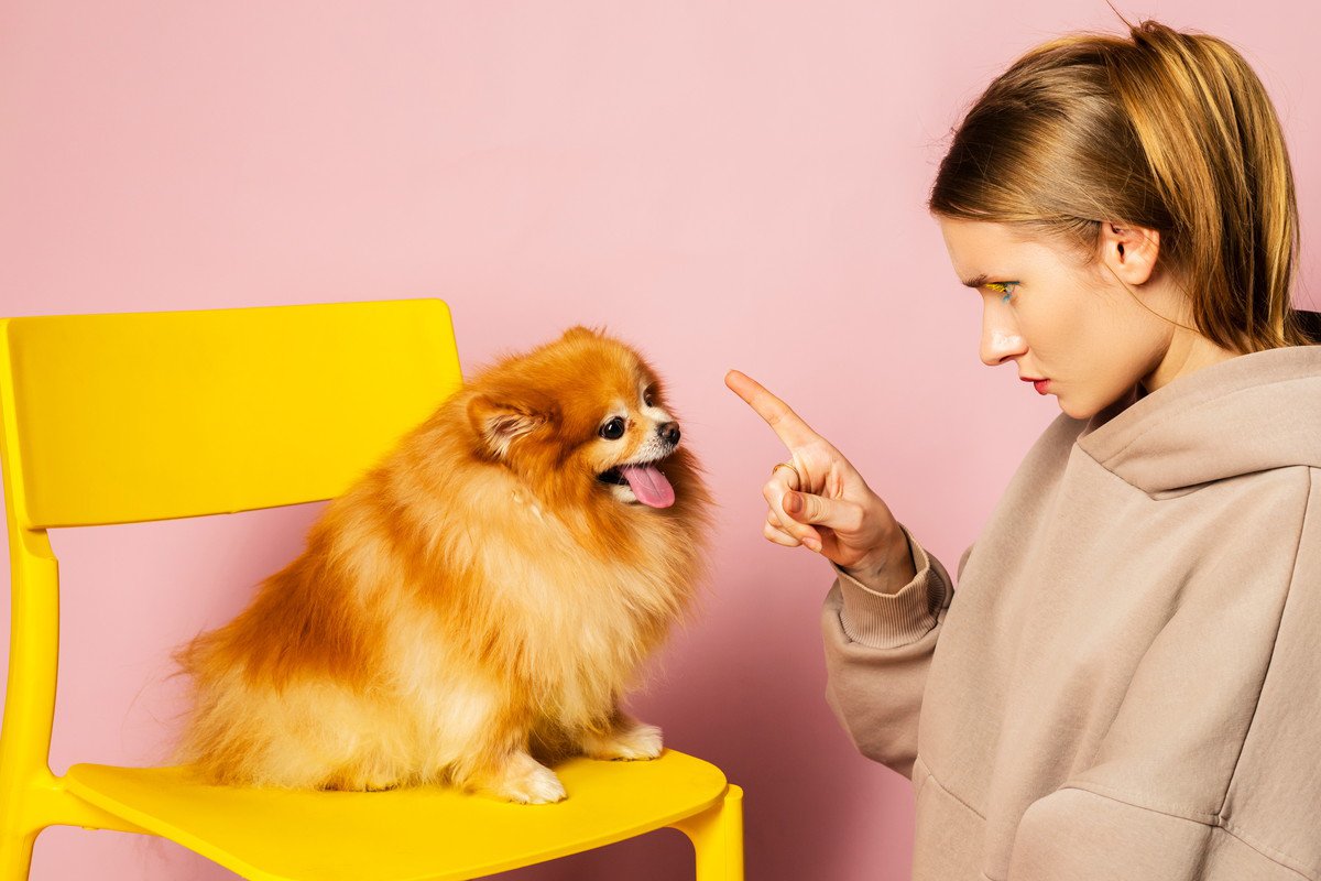 愛犬を混乱させる飼い主の行動7選！　可愛いからといってからかいすぎやちょっかいの掛け過ぎはNG