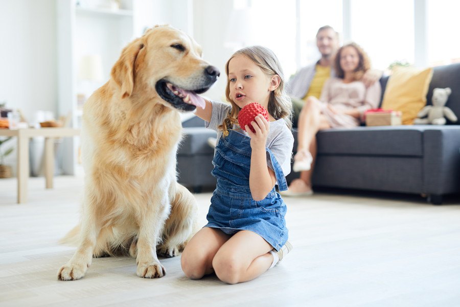 自閉症スペクトラムのための介助犬、その効果を科学的に研究