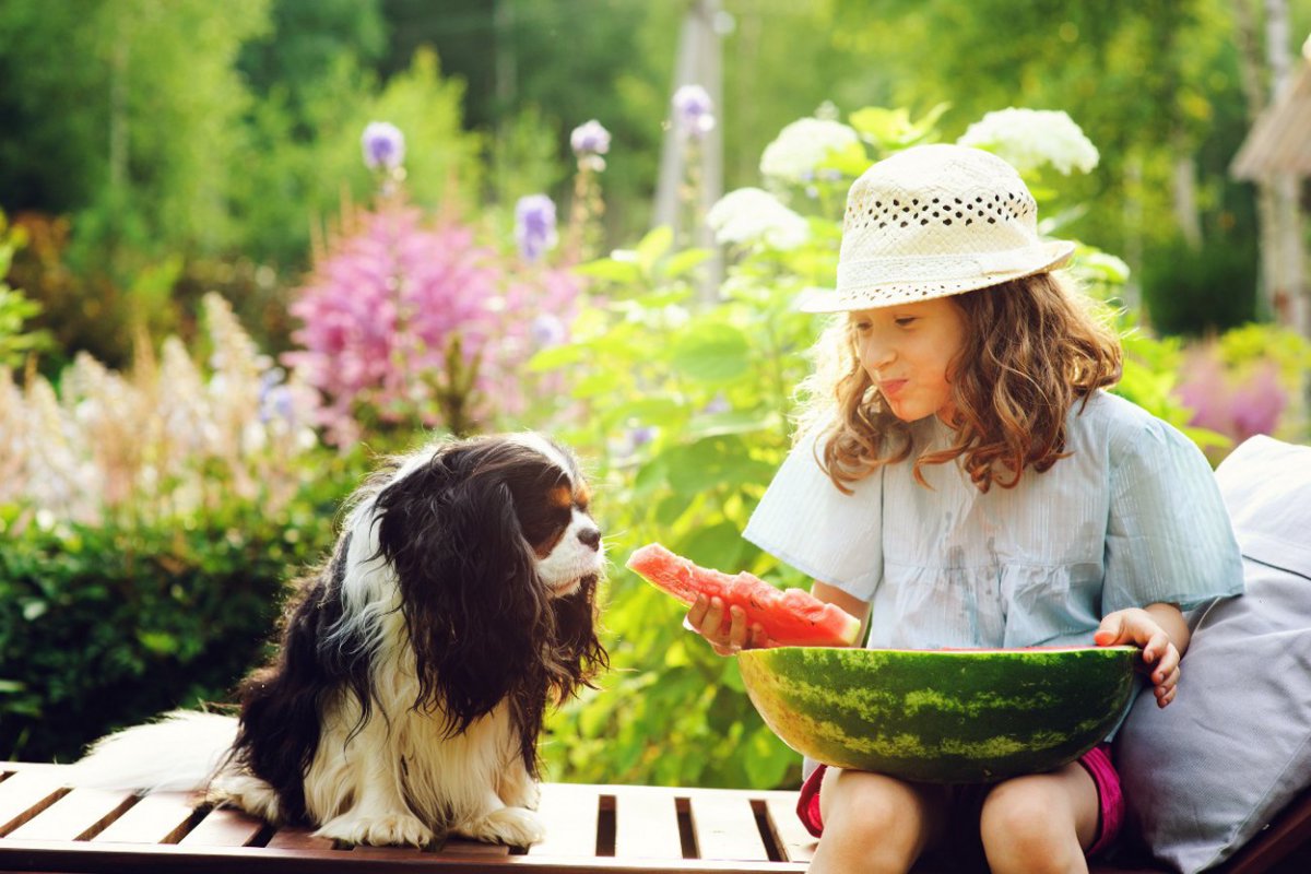 犬に絶対NGな『夏の食材』3選！最悪の場合死に至ることも？