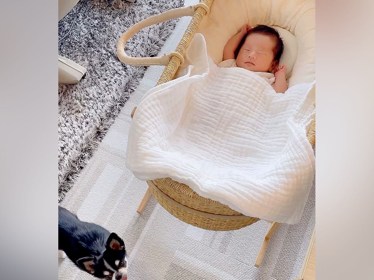 赤ちゃんと犬の日常→いつもそばで見守っていてくれて…まるで本当の姉妹のような光景が話題に「ちゃんとお姉さんしてる」「これからが楽しみ」