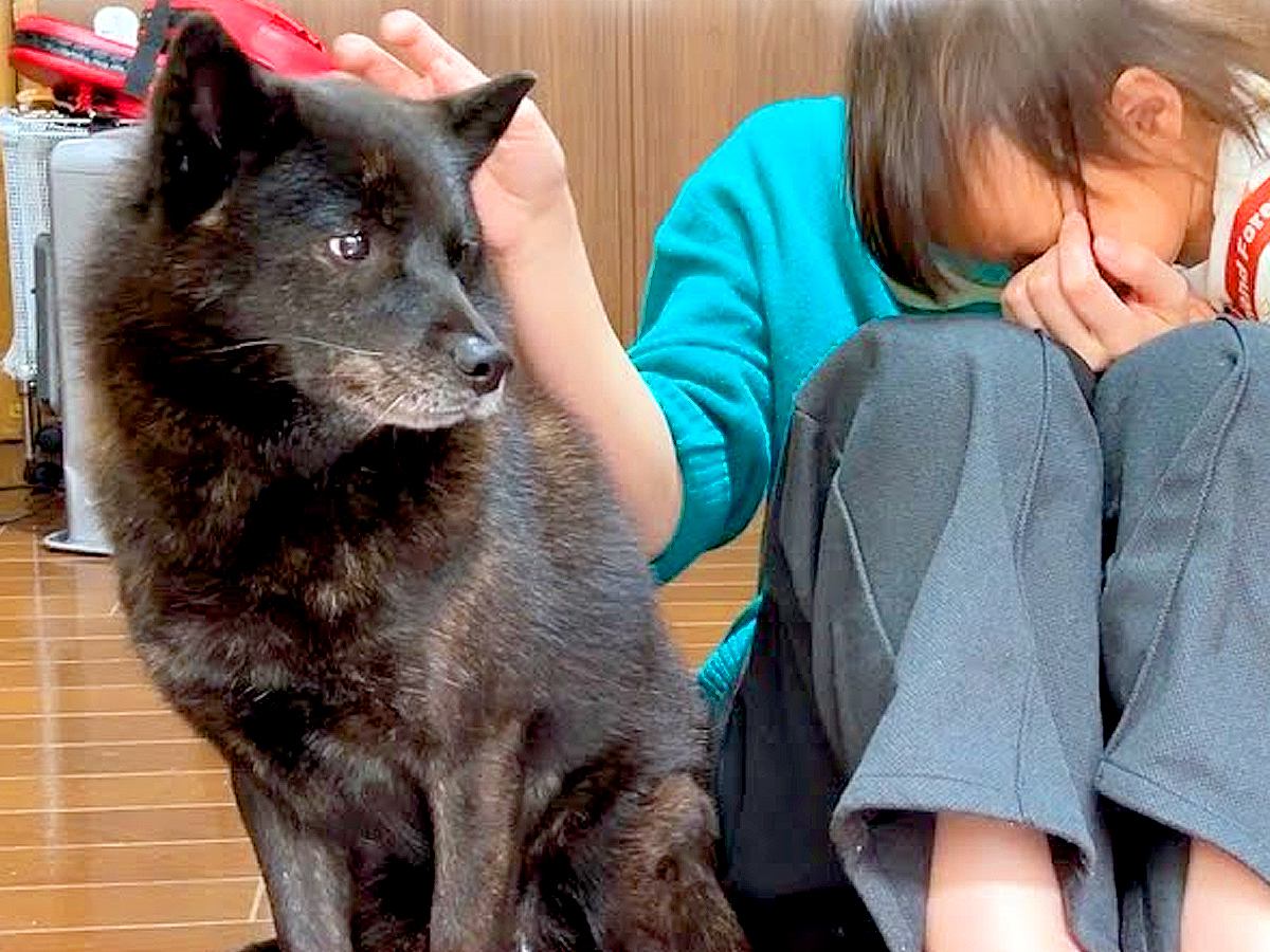 犬におやつをあげたら、なぜか食べない…信じられない『まさかの理由』が泣けるほど優しいと93万再生「なんて素敵な子」「大切に育てられた証」