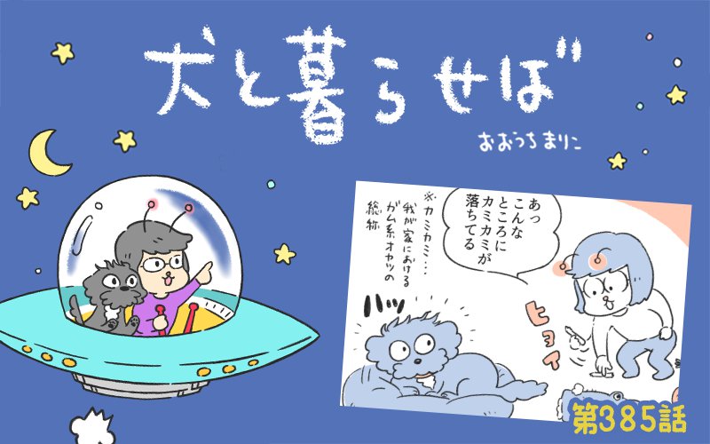 犬と暮らせば【第385話】「自分ってスゴイなと思う瞬間」