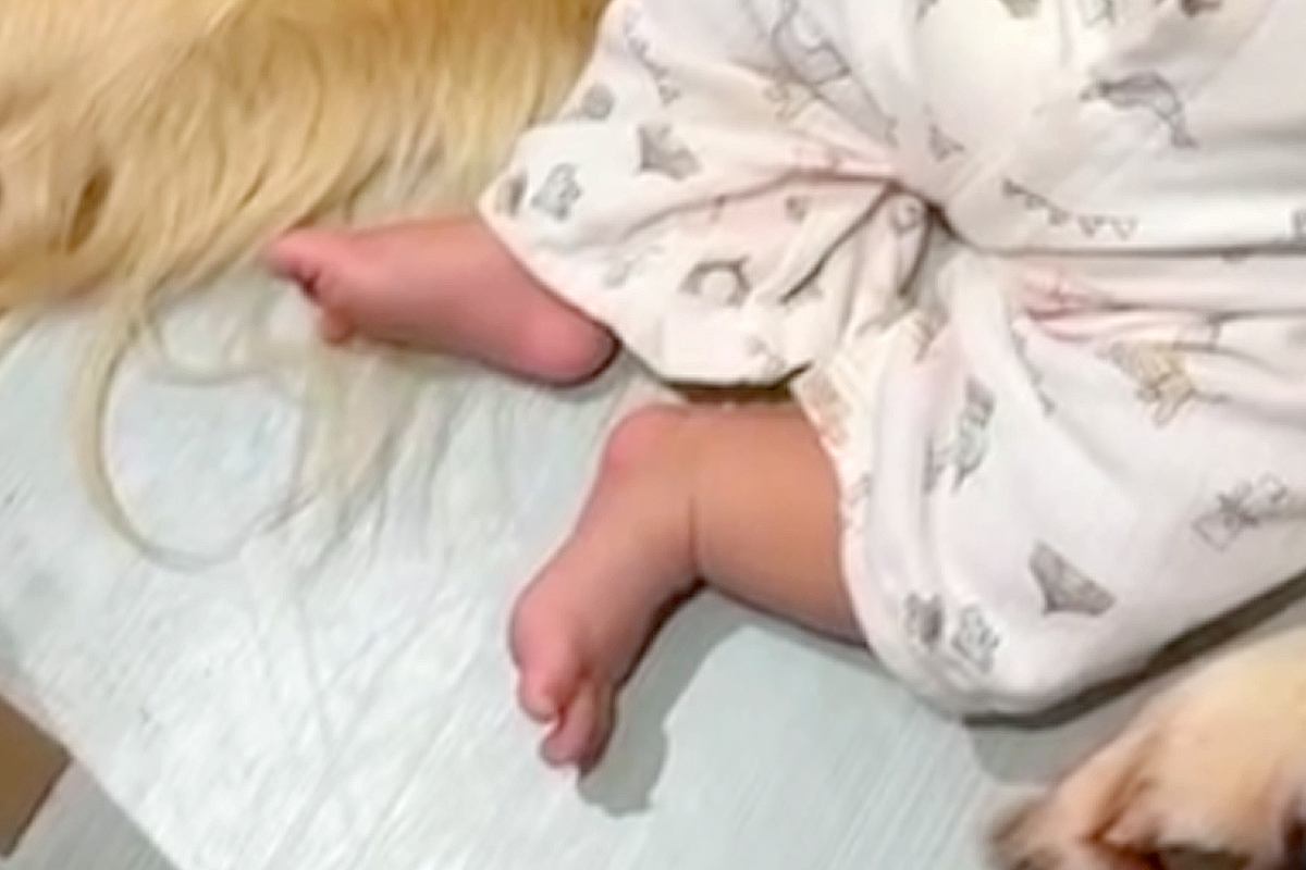 トイレで腹痛と戦っていたら、大型犬が乱入→同時に『別室の赤ちゃんも号泣』してしまい…まさかの『対処法』が33万再生「安定感半端ないｗ」