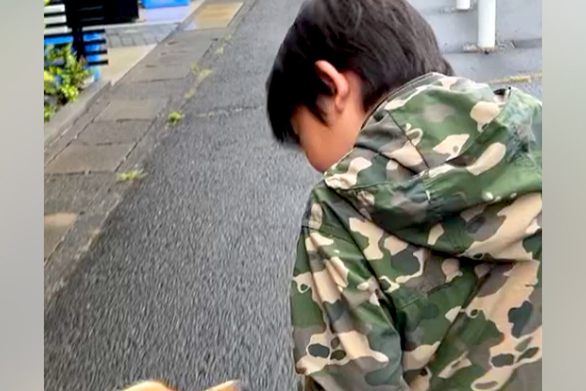 朝5時、『大型犬のリードを持ちたい』と言う男の子とお散歩へ→ワンコも『大丈夫？』と心配して…素敵な光景に2万いいね「目を合わせるの尊い」