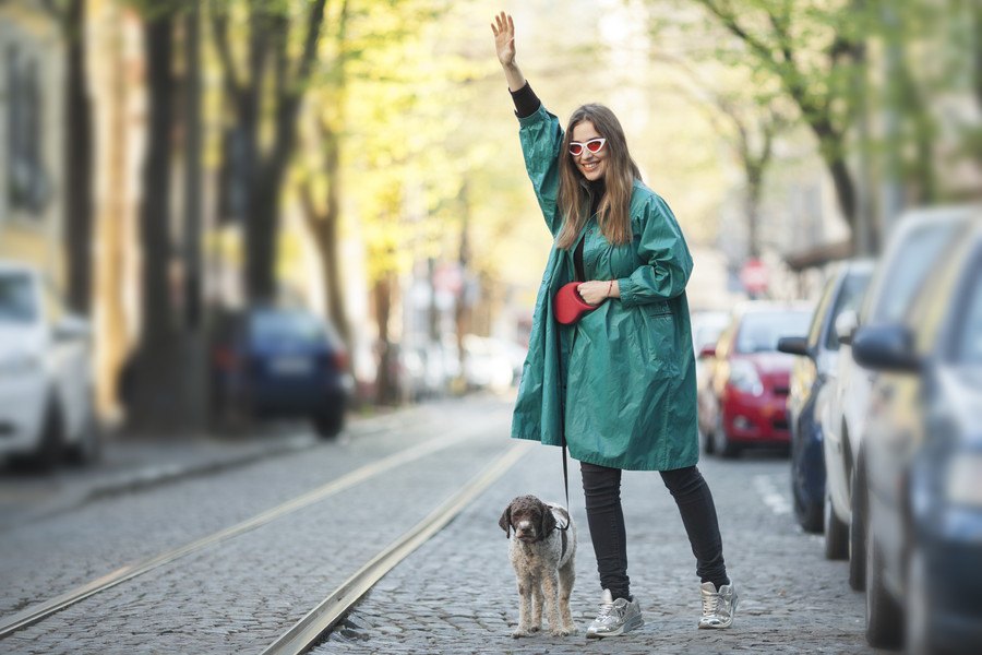 犬とタクシーに乗ろう！送迎可能な東京のペットタクシー5選と乗車のマナーについて