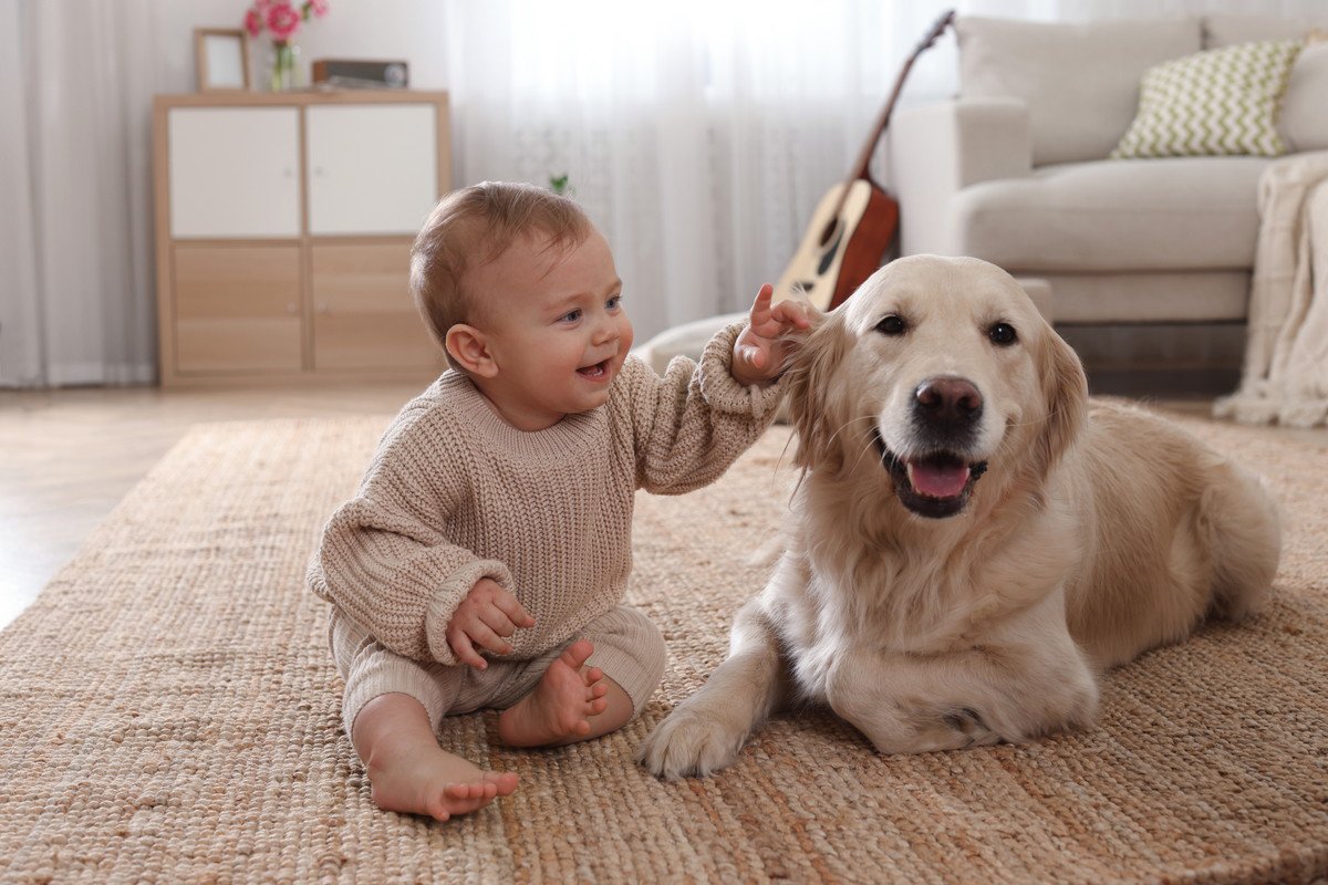 犬は『人間の赤ちゃん』にどんな感情を抱く？　愛犬のことがより愛おしくなる心理とは