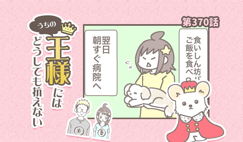 うちの王様にはどうしても抗えない【第370話】「バンビ闘病記②」