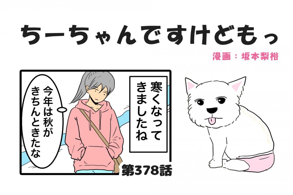 ちーちゃんですけどもっ【第378話】「秋を感じて君を想う」