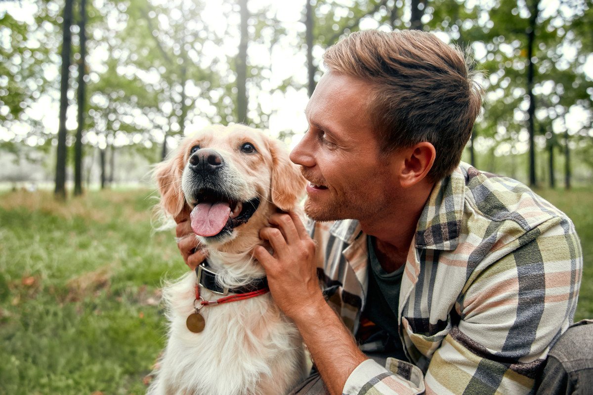 保護犬の辛い経験を忘れさせる方法はあるの？新しい飼い主がしてあげるべき心のケアとは