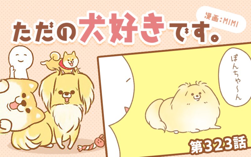ただの犬好きです。【第323話】「今なんて？」
