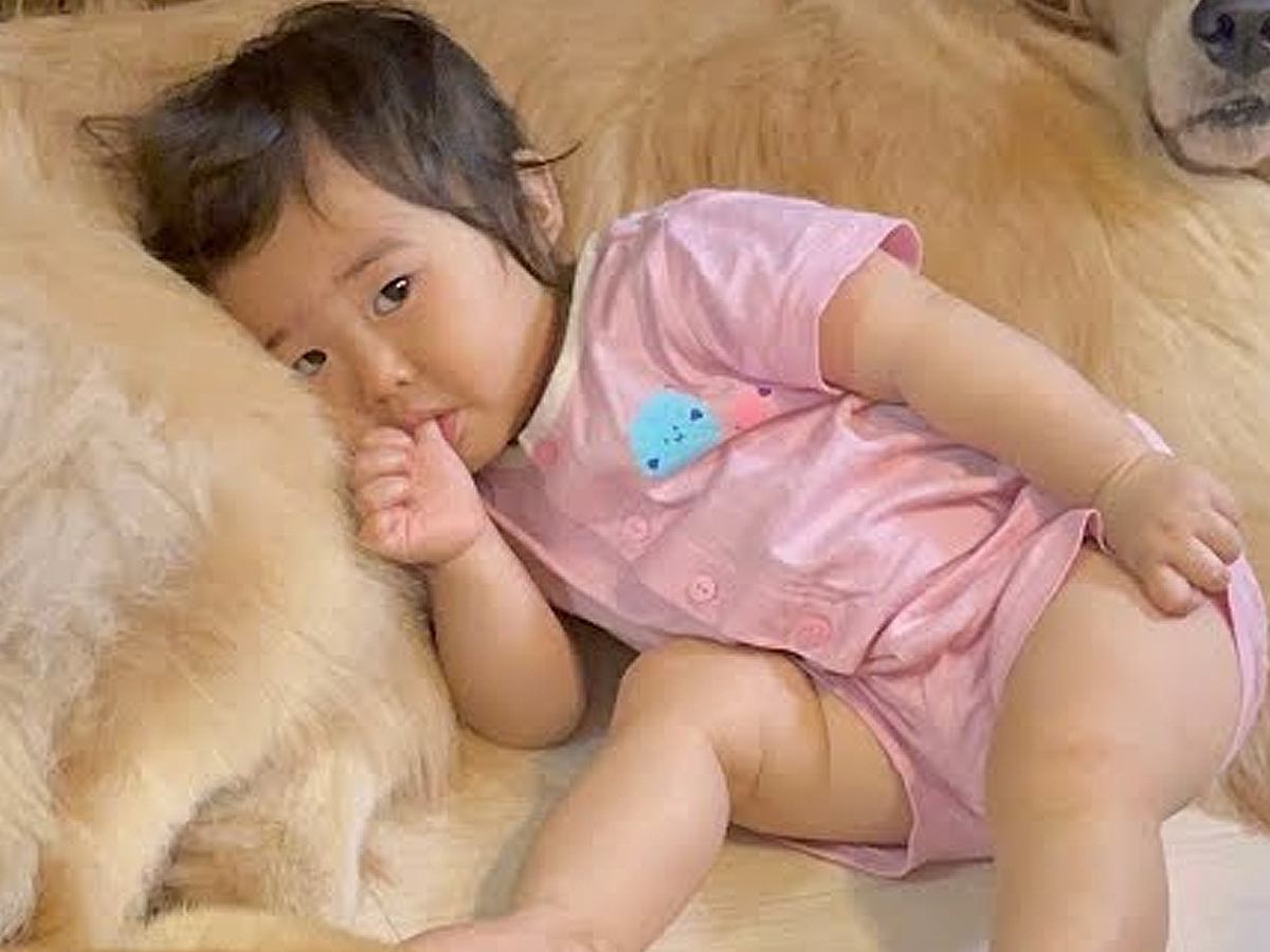 少しだけ洗面所に行ったら、赤ちゃんと犬たちが…カメラが捉えた『尊すぎる光景』が45万再生「めっちゃ優しくて素敵」「最高の家族」と反響