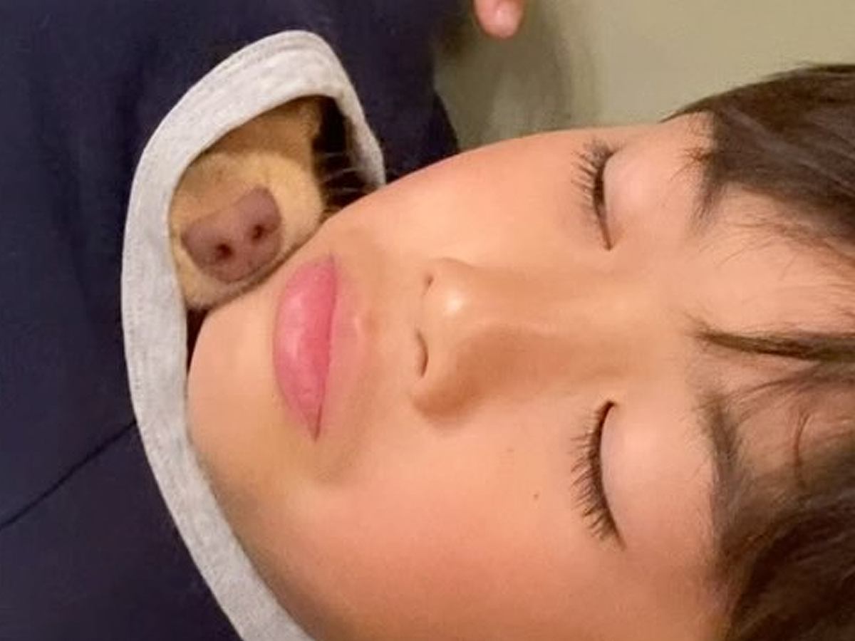 『どうしてそうなった』男の子のことが好きすぎる犬→服の中に入って…まさかの光景が159万再生「平和な世界」「鼻しか出てないのに可愛い」