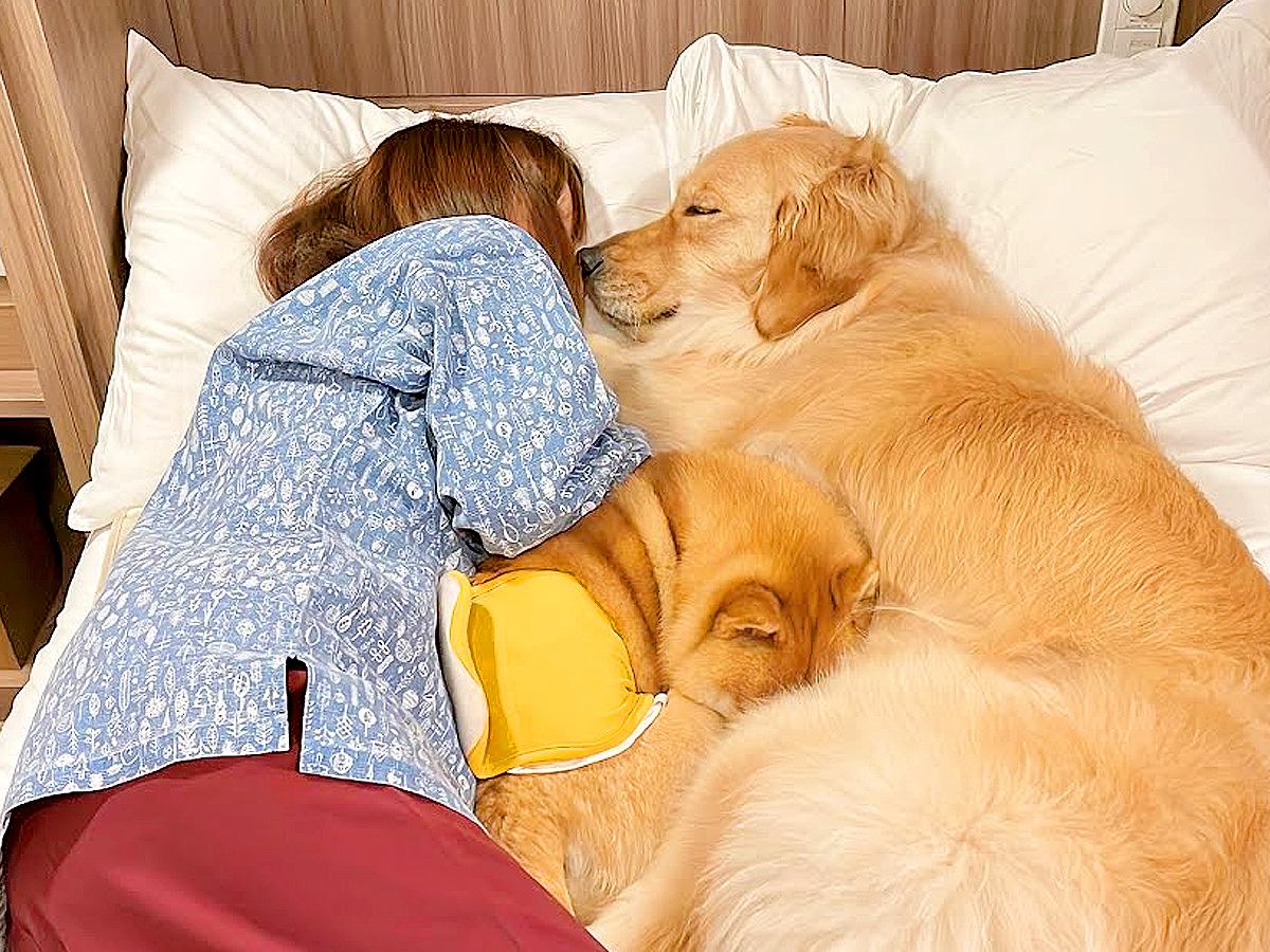 家族が『寝落ち』した時、犬たちを撮影してみた結果…愛を感じるかわいい行動に92万人がほっこり「何て幸せなの」「まるで人間」
