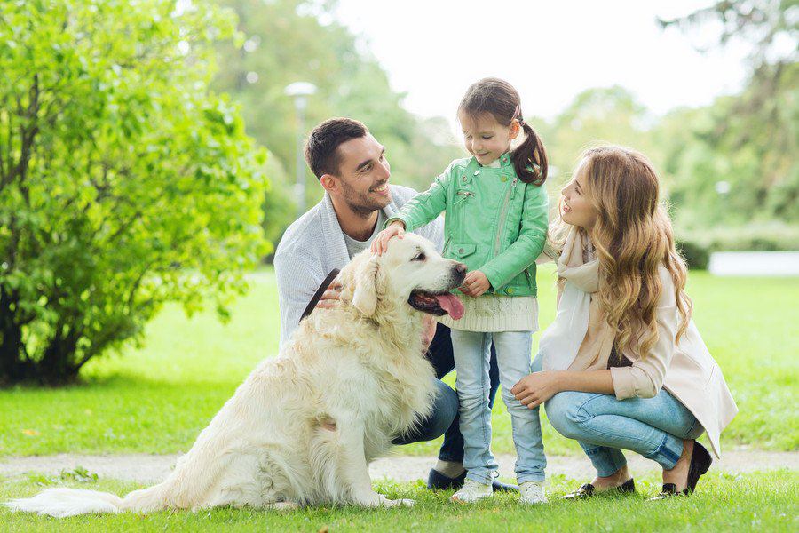 愛犬ともっと仲良くなるためにやるべき５つのこと