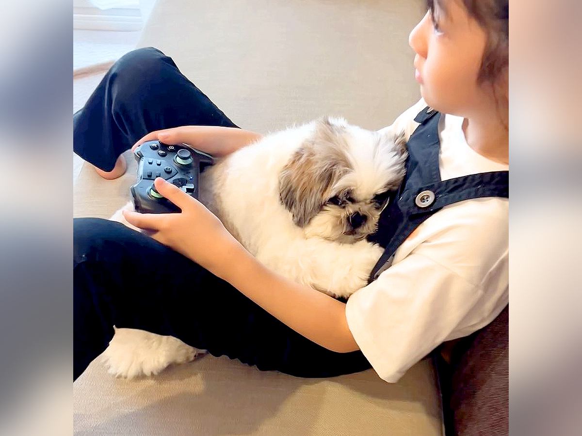 女の子がゲームに夢中になっていたら、犬が…意地でも『大好きな場所』を占拠したがる姿が31万再生「溶けちゃってて草」「大好きなんだねｗ」