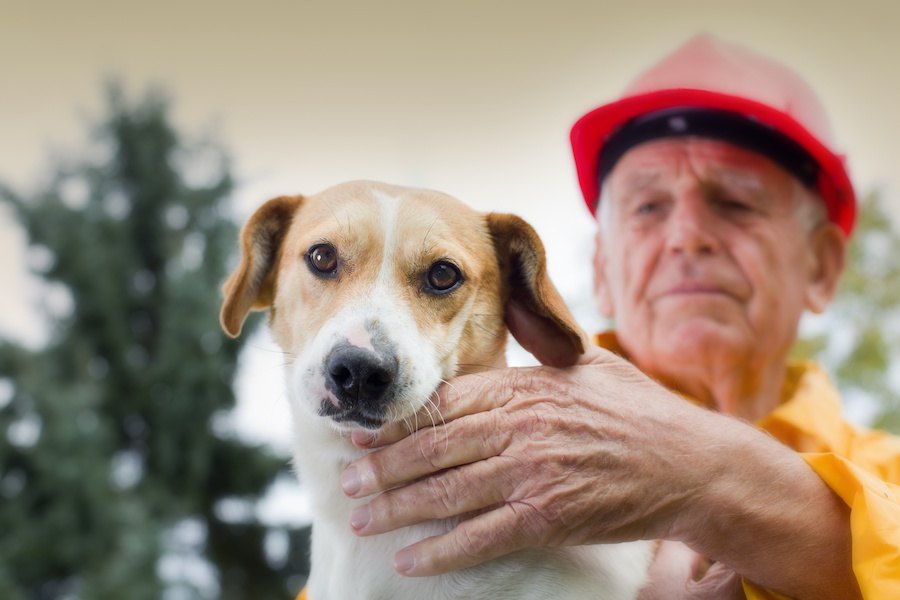 大型地震が来たら、犬はどうする？飼い主が必ず準備しておくべきことやモノ８選