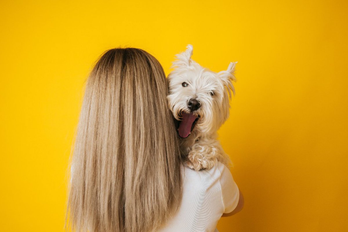 犬が『居心地が悪い』と感じる飼い主の行動５選　やりがちなことに「無意識だったかも…」「改めたい」