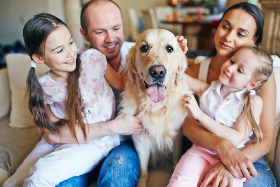 初めて犬を飼った人が勘違いしやすい4つの間違い