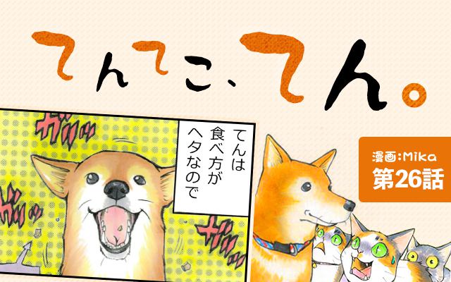 てんてこ、てん。【第26話】「ささみチップの行方」