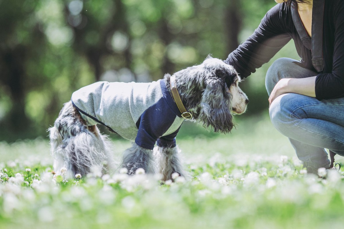 後悔しないように。犬が亡くなる前にすべき『6つのこと』