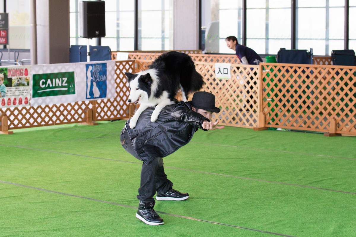 人も犬も音楽に合わせてダンス！？ドッグダンス競技会開催！