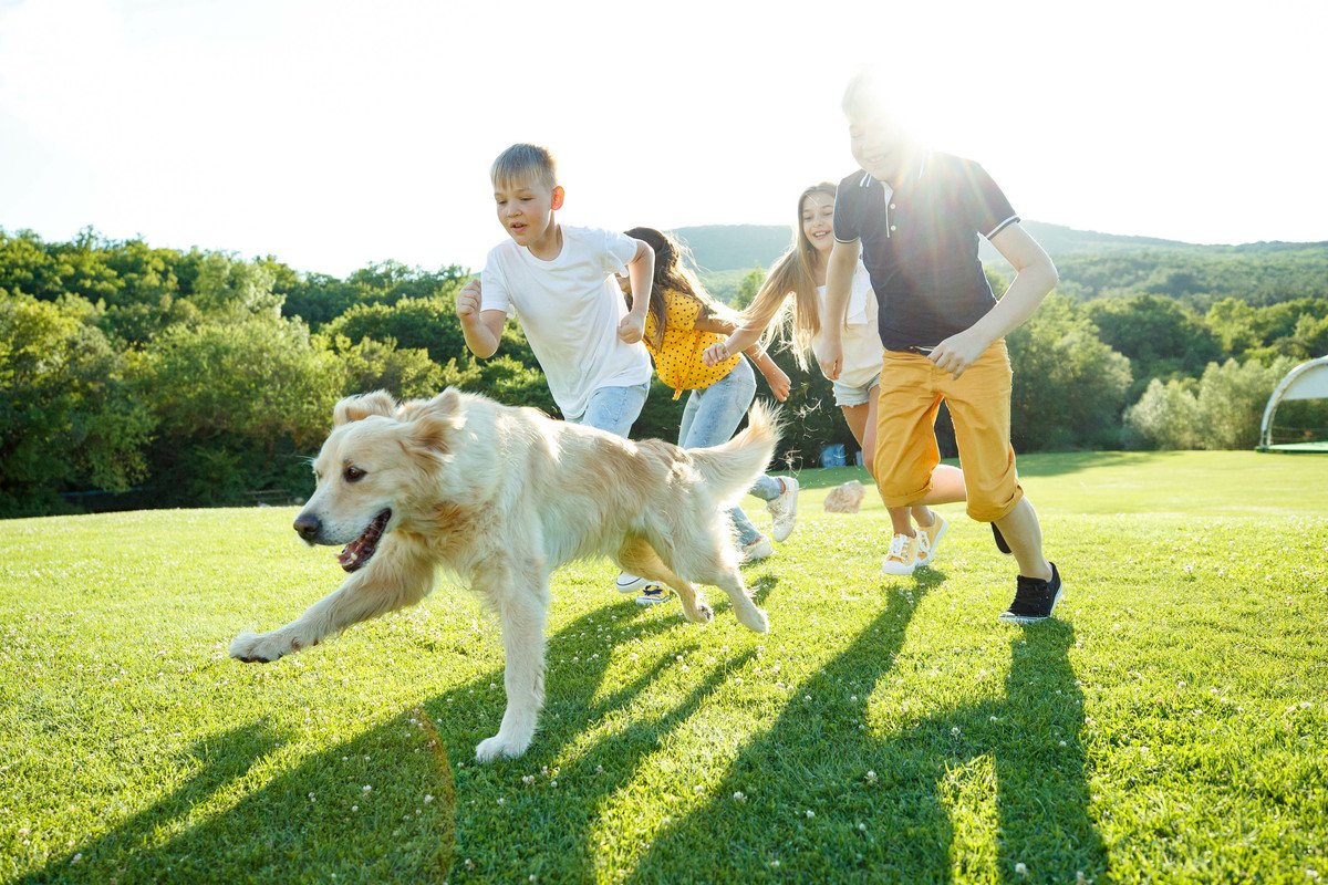 犬にとって『呼び戻し』が重要な理由5選　教えるべきワケや回避できるトラブルとは