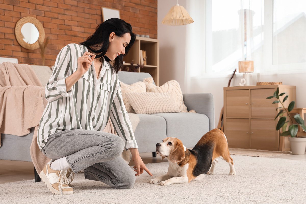 愛犬に何度言っても『合図が伝わらない』理由4選　原因は飼い主にあった？心得ておきたいこととは