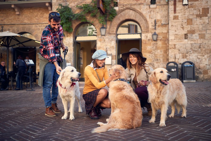 初めて会う犬に絶対してはいけない『挨拶の仕方』４選