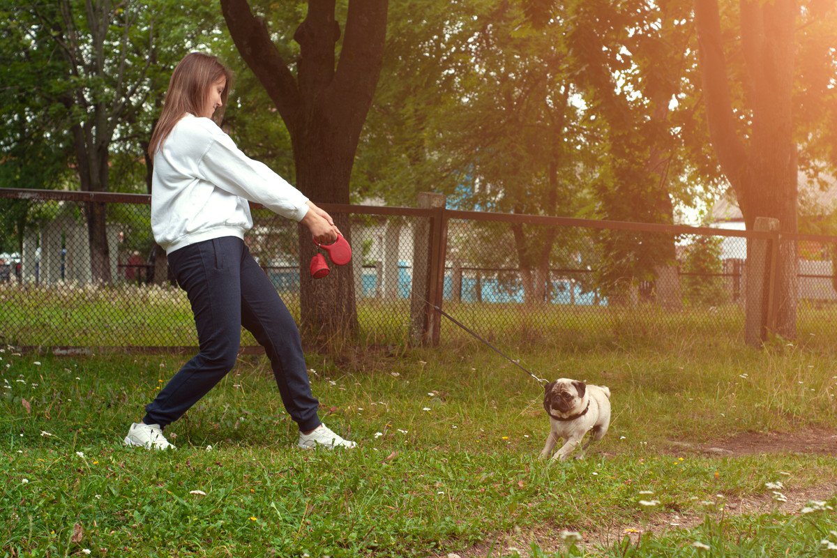 犬が散歩嫌いになってしまう『飼い主のNG行為』3選　原因を作るのはあなたかも…絶対にすべきではない理由とは？