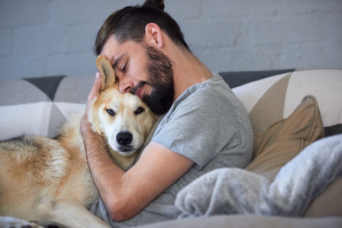 愛犬が寄りかかってくる時の４つの心理