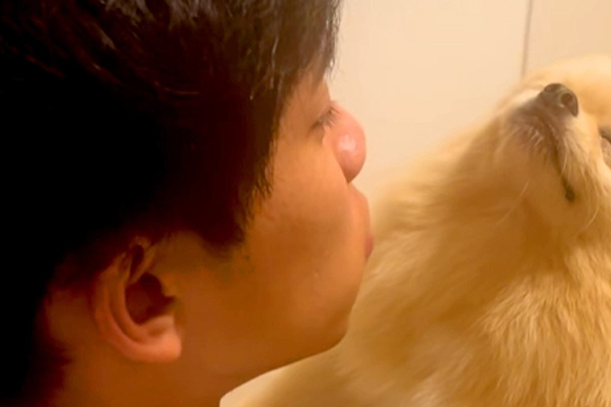 おしっこ失敗した犬が『パパに怒られた』結果→寝たふりをして…まさかの『表情』が329万再生「どこで覚えたん？ｗｗ」「薄目開けてて草」