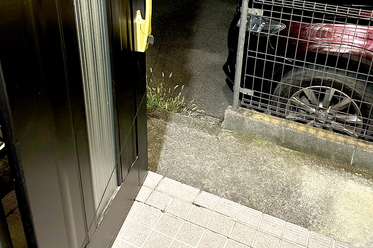 『100分間のお散歩』をした大型犬→帰宅後『玄関ドアをあけた』結果…想定外だった『まさかの行動』が104万表示「フィジカルモンスター」