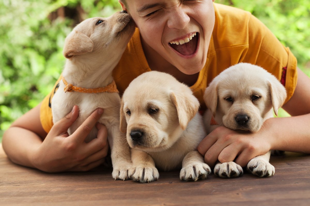 犬にとっての『名前』とは？必要なの？おすすめの付け方は？