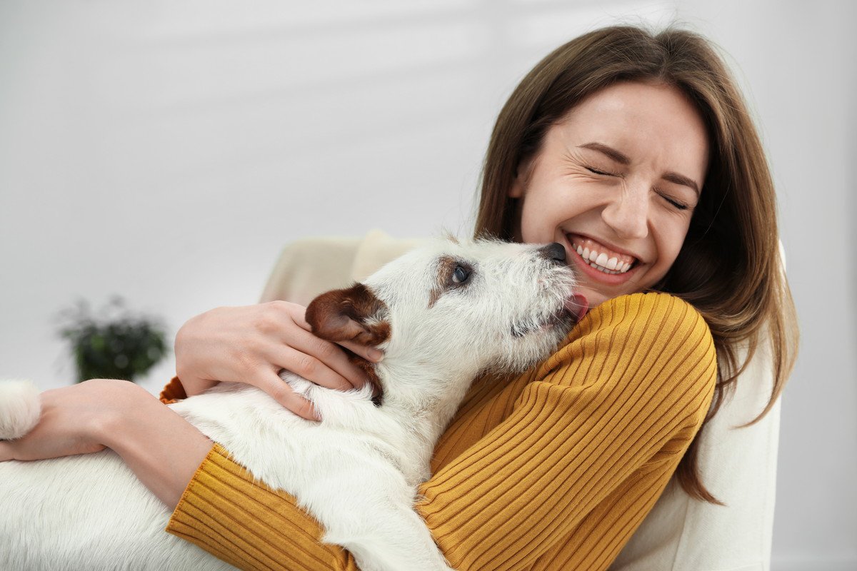 愛犬があなたに「ありがとう」と感謝を伝えている時の仕草や行動4選