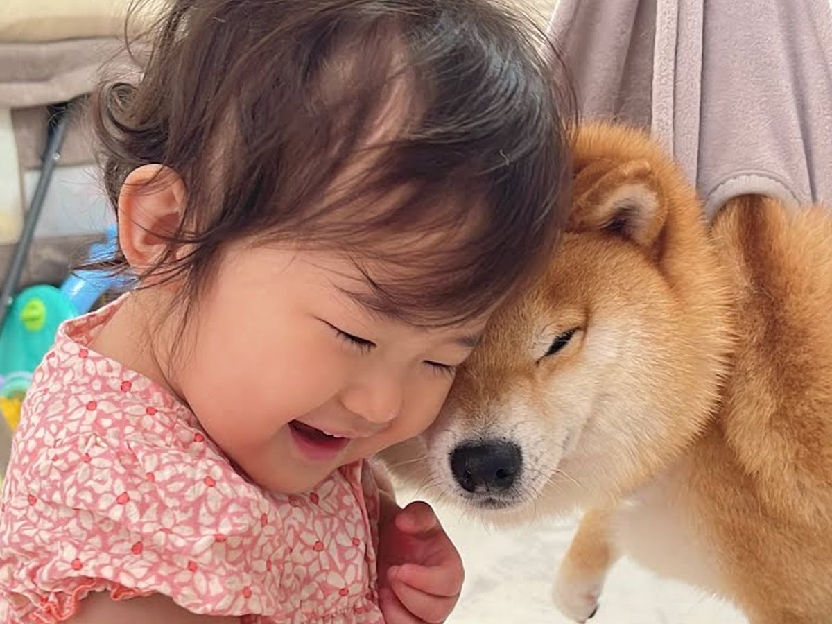 『大嫌いな爪切り』で泣き叫ぶ犬→1歳の女の子が駆け付けて…あまりにも愛おしい応援が37万再生「優しすぎ」「気付いたらニコニコしてた」