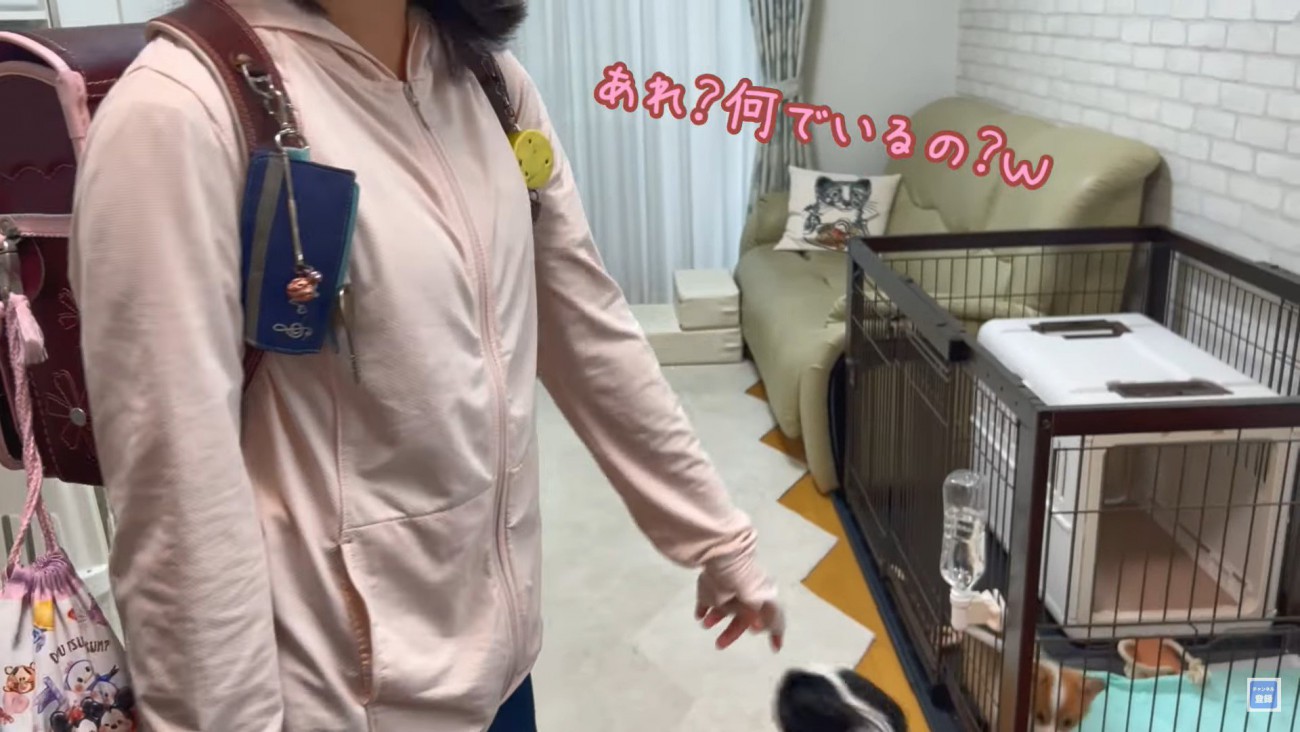 学校から帰ったら家に子犬が！子どもたちへの素敵なサプライズに心がほっこり「とてもプリティなサプライズです」