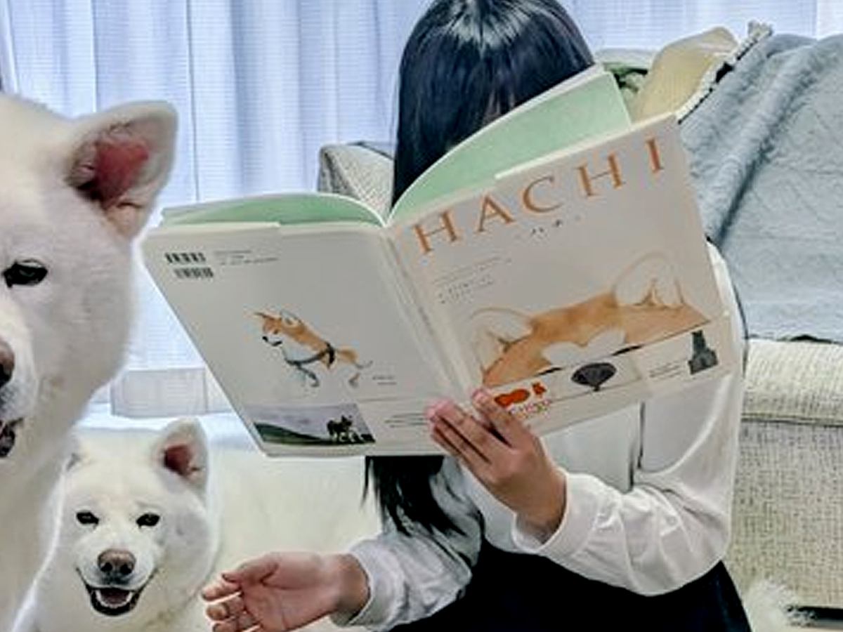 絵本を読む女の子を『４頭の大型犬』が囲って…何気なく撮った写真が『圧巻すぎる』と3万いいね「迫力すごい」「素晴らしい環境」と大絶賛