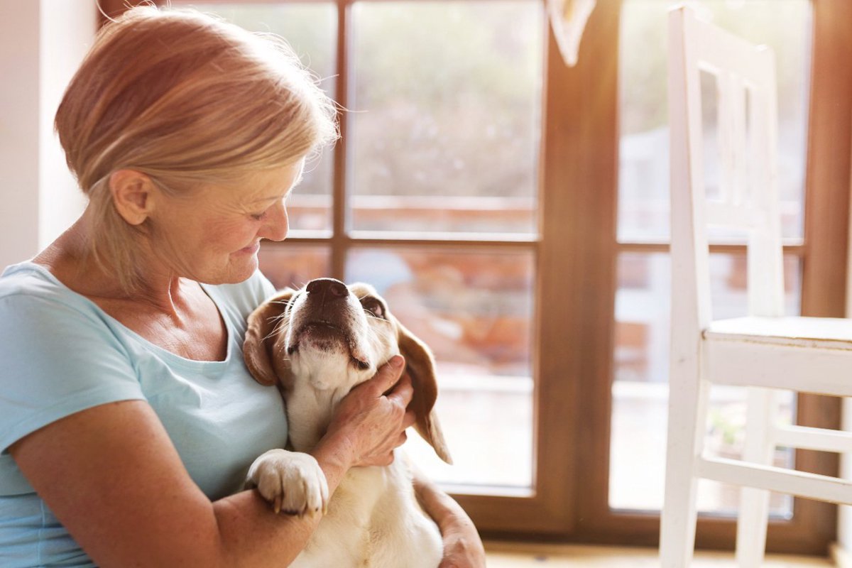 犬が飼い主に寄り添う時の5つの心理