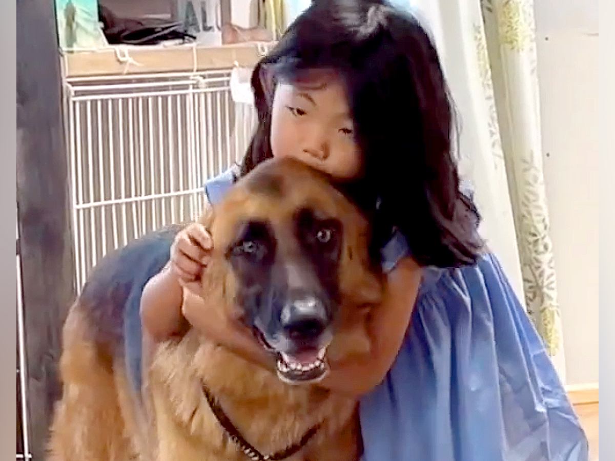 『数十年後、大人になった時に…』小さな女の子と大型犬が"一緒に成長していく光景"に涙が溢れると65万再生「泣けてきた」「素敵な日々を」