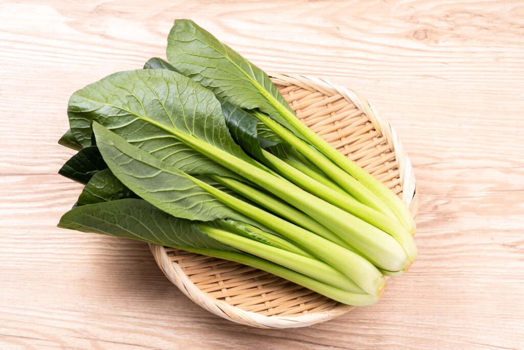 【獣医師監修】犬に小松菜を与えても大丈夫？メリットと適量、与える前の注意点を解説