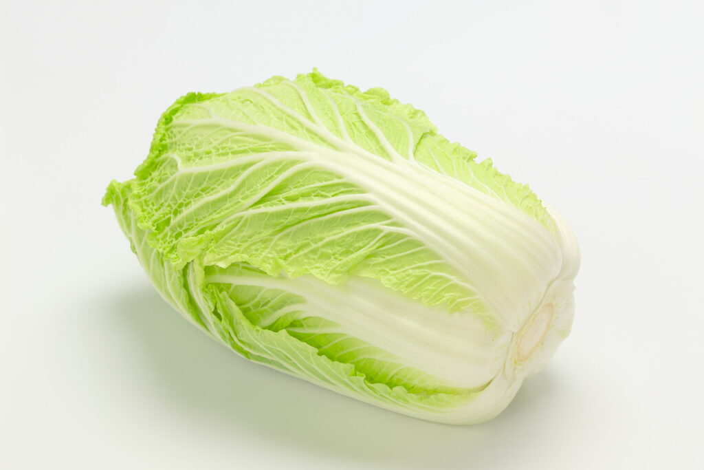 【獣医師監修】犬は白菜を食べても大丈夫？与えるメリットと注意点をわかりやすく解説