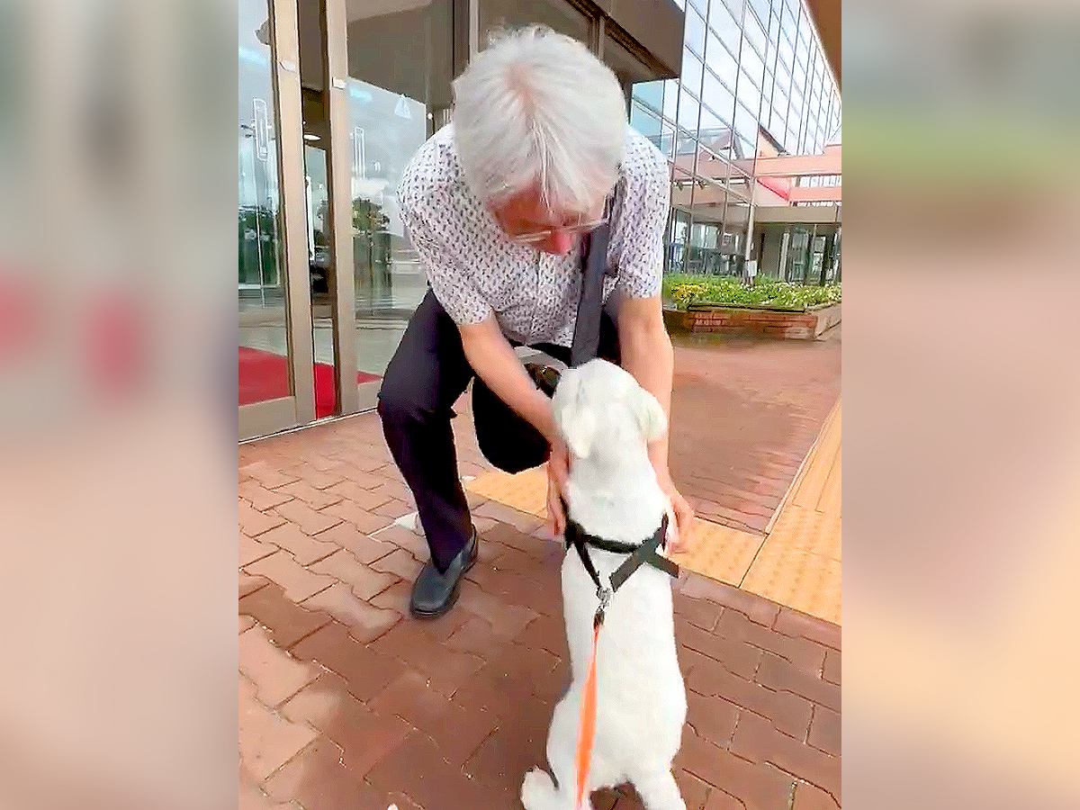 犬が『お父さんを空港までお迎えに行った』結果…感動的な『再会の瞬間』が87万表示「犬ってほんと素直」「歓迎が可愛すぎてメロメロ」と絶賛